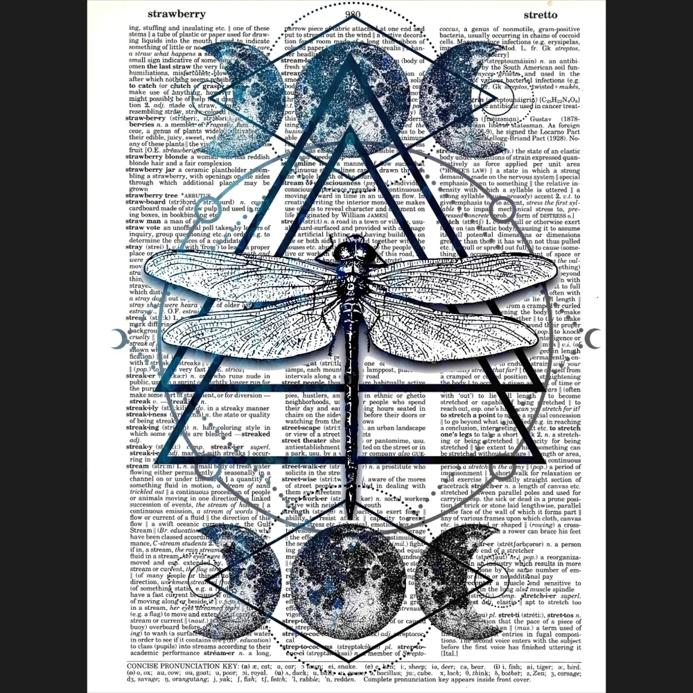 Dragonfly Moon Geometric Dictionary Art Print